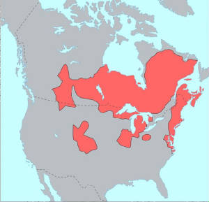Algonquian-languages-pre-contact.jpg