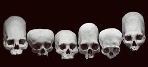 Elonogated-skulls-flatheads.jpg