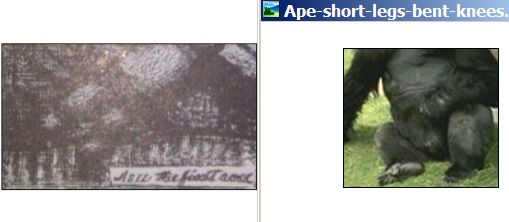 Asu-Adam-Ape-short-legs-bent-knees.jpg