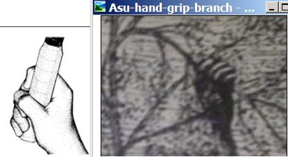 Asu-hand-grip-and-modern-human-hand-grip.jpg