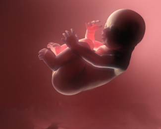 Black-Fetus.JPG