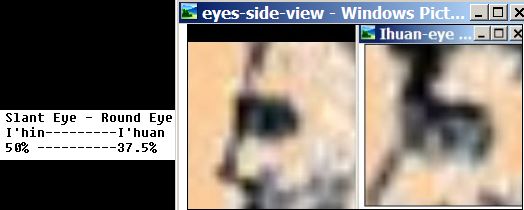 Eyes-side-view-races.jpg