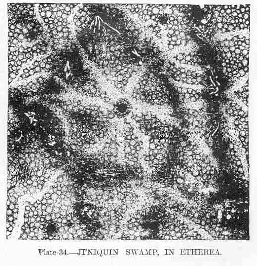 Plate-34-Jiniquin-swamp-in-etherea-Oahspe.jpg