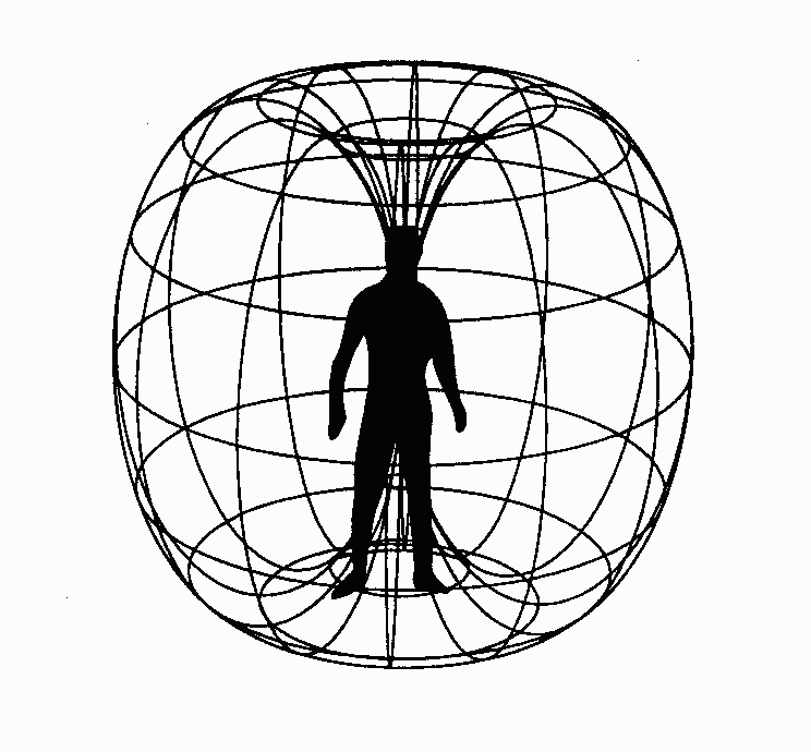 electro-magnetic-field-human-consciousness.gif